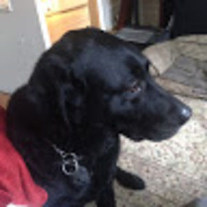 Meet your Posher, Mitchell